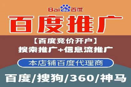SEM托管服务成功案例：让广告投放更精准、更高效
